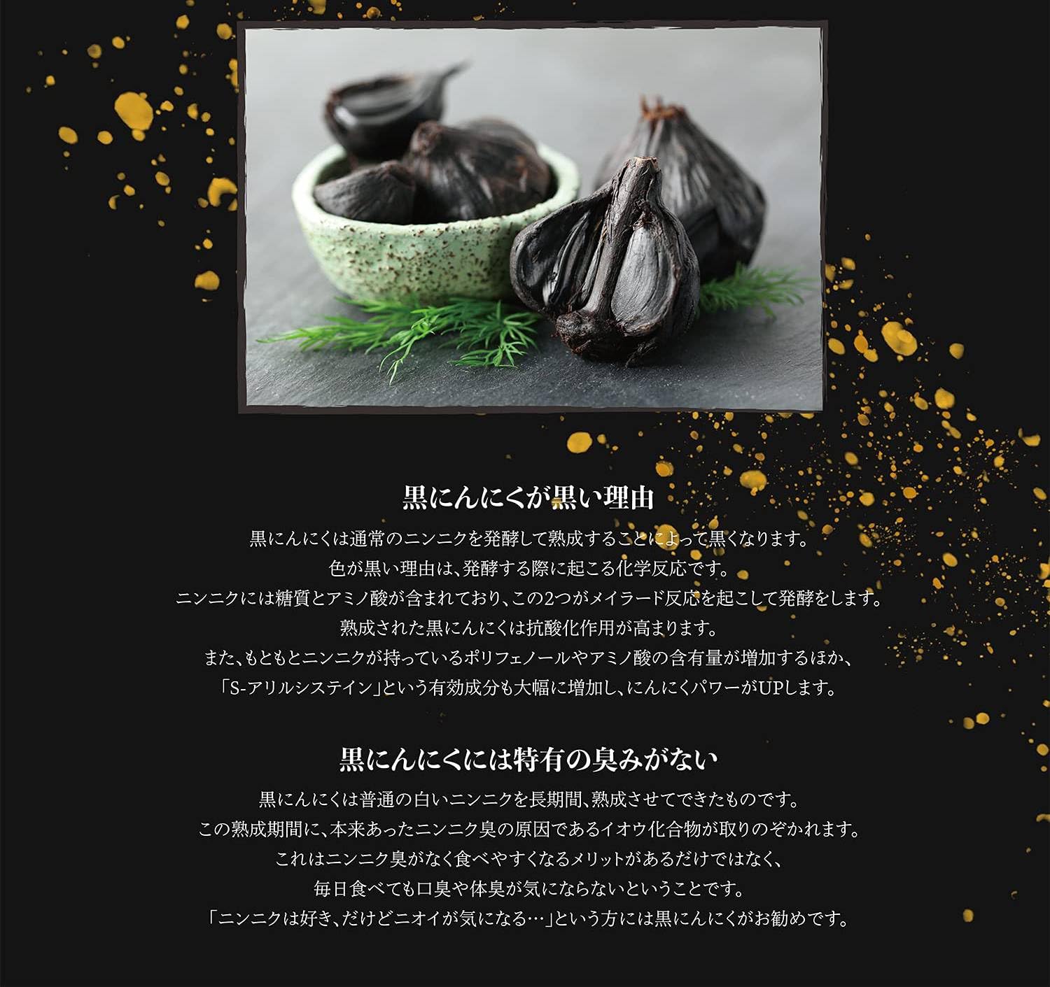 Amazon | 黒にんにく発酵器 RM-AZ1000H-BK | ノーブランド品